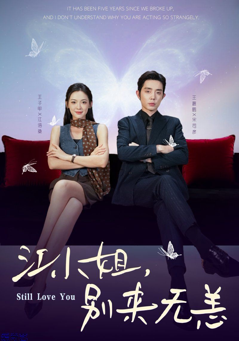 江小姐，别来无恙分手五年，宋先生别纠缠