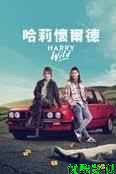 野探哈莉 第四季