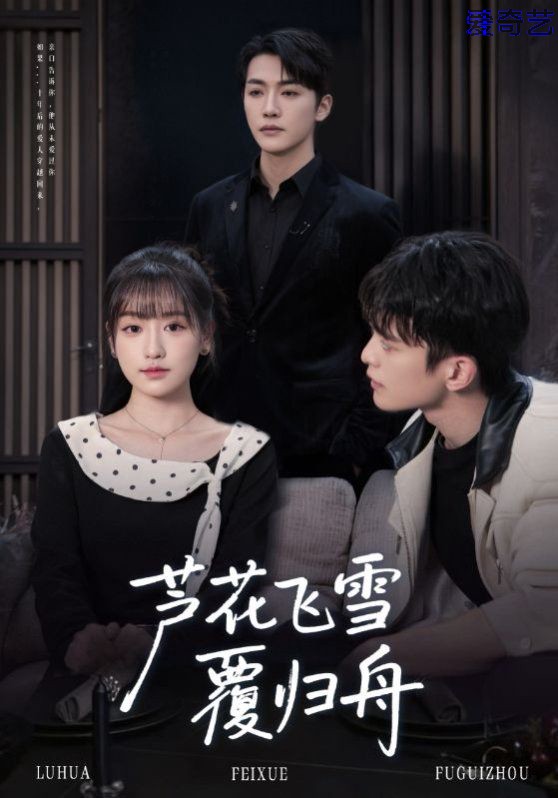 芦花飞雪覆归舟