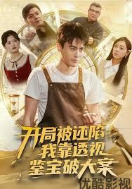 开局被诬陷，我靠透视鉴宝破大案